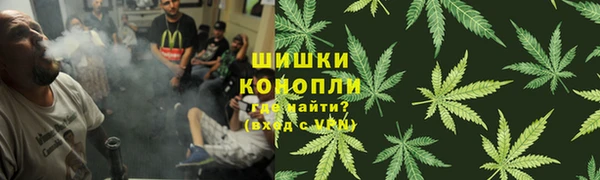шишки Аркадак