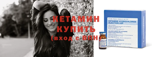 шишки Аркадак