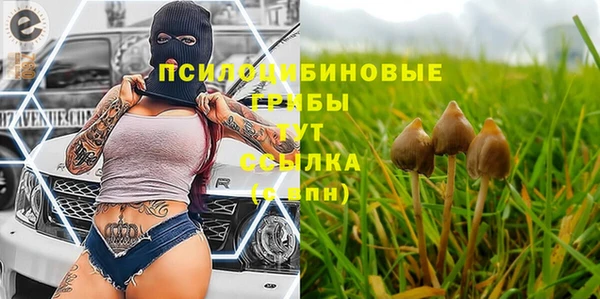 шишки Аркадак