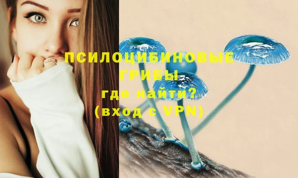 шишки Аркадак