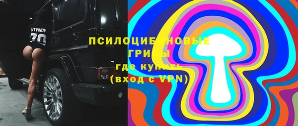 меф Долгопрудный